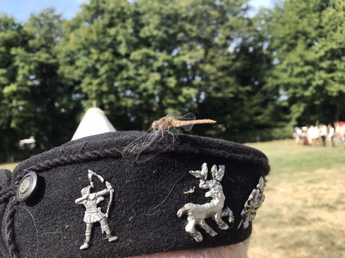 224BEDEE-C552-423E-9D0D-0D488F6F63B3